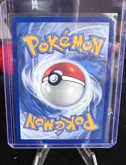 SHUCKLE Illustration Rare Holo #136/132 Pokemon Mega Evolution English - Image 2