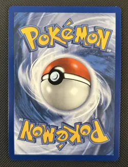 Dewgong Phantasmal Flames 097/094 Illustration Rare Holo Pokemon NM - Image 2