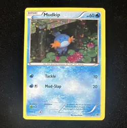 The Pokemon Company Mudkip 005/012 McDonald's 2015 Holo Promo HP - Image 1