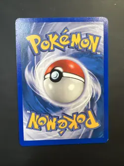 Pokemon Smeargle Aquapolis Regular Rare 109/147 60 HP English Pokemon TCG Nm - Image 4