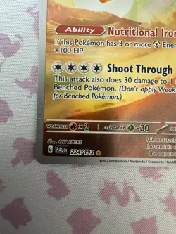 Pokemon TCG Orthworm 224/193 SV02 Paldea Evolved IR Holo Basic EN - Image 4