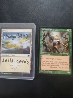 MTG Seeker of Skybreak Tempest - Image 3