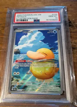 Pokemon Psyduck PSA 10 Illustration Rare Ascended Heroes 226/217 - Image 5