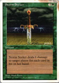Storm Seeker Chronicles - Image 1