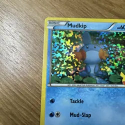 Pokemon TCG McDonald's 25th Anniversary Celebrations Mudkip Holo Card 19/25 NM - Image 4