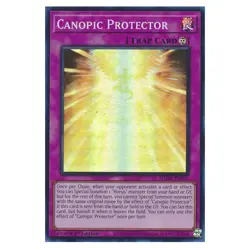 Yu-Gi-Oh! - Age of Overlord - Canopic Protector (Super Rare) AGOV-EN076 - Image 1