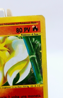 Ninetales - Holo - Expedition Base Set 21/165 - LP - ITALIAN - Pokemon TCG - Image 4
