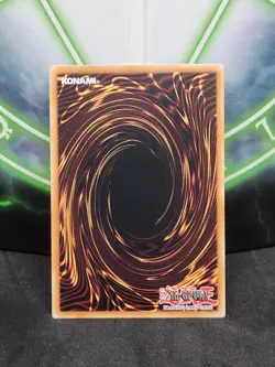Yugioh Blue-Eyes Chaos MAX Dragon SDWD-EN009 Common 1st Edition NM - Image 2