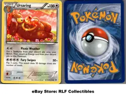 2013 Pokemon, Legendary Treasures, #RC16/RC25 Ursaring, Holo Common - Image 1