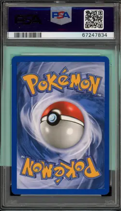 Pokemon Eevee Skyridge Reverse Holo #54 PSA 10 Gem Mint - Image 2