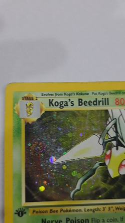 Pokemon Card Koga's Beedrill 1st ed Holo Gym Challenge 9/132 D FREE SHIPPING - Image 2