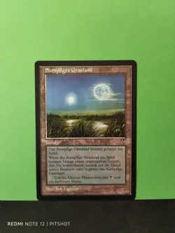 Sumpfiges Grasland / Everglades - MTG Magic - Image 1