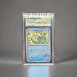 Feraligatr Illustration Contest 2024 Black Star Promo 213 Ace Mint 9 Pokemon - Image 1