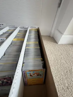 💥 100x Pokemon TCG Cards Bulk Bundle Lot – GUARANTEED EX CARD included!💥 - Image 2