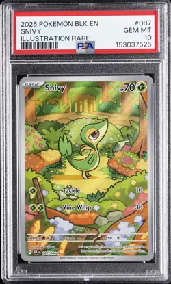 2025 POKEMON BLK EN-BLACK BOLT ILLUSTRATION RARE #087 SNIVY PSA 10 - Image 1