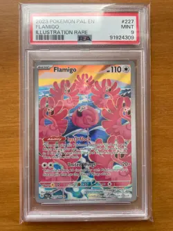 2023 Pokemon Paldea Evolved Flamigo Illustration Rare 227/193 PSA 9 - Image 1