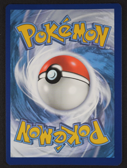 2023 Pikachu SVP 027 Black Star Promo Paldea Evolved ETB Pokemon TCG Card - Image 2