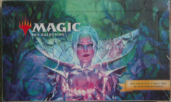 MTG Wilds of Eldraine booster set (Espanol) - Image 1