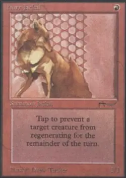 1 x Hurr Jackal - Arabian Nights - Light Play - MTG - Image 1