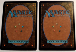 2x Fanatical Offering - The Lost Caverns of Ixalan (LCI) - EN - C 0105 - Image 2