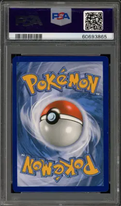 Pokemon Pikachu GX Pikachu/Eevee Special Coll. Black Star Promo SM232 PSA 10 - Image 2