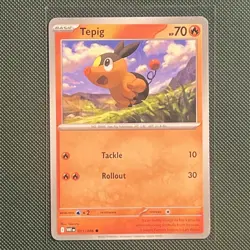 Tepig Pignite Emboar Evolution Bundle – White Flare Pokemon Cards - Image 3
