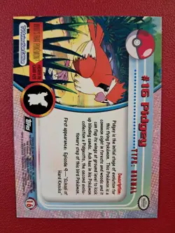 Pidgey - Black Label 1998 Topps Pokemon Set 1 #16 TV Animation Editon - Image 2
