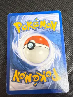 Zigzagoon 85/100 Common Sandstorm Pokemon Lightly Played - Image 2