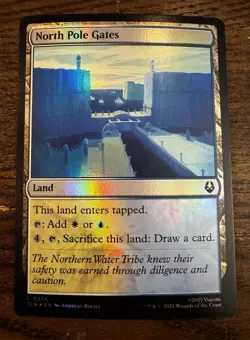 Lot of 10 Avatar: The Last Airbender (TLA) Lands MTG Foil Misty Palms Oasis Appa - Image 4