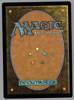 Kederekt Parasite 0144 Non Foil Rare Duskmourn MTG Near Mint - Image 2