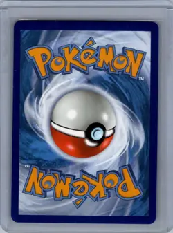 Morpeko V-Union - Promo SWSH: Sword & Shield Promo Cards SWSH216 NM - Image 2