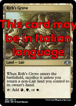 MTG RITH's GROVE FOIL EXC - BOSCHETTO DI RITH 255 - DMR - MAGIC - Image 1