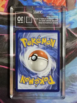 TAG 10 GEM MINT Jasmine's Gaze #245 Pokemon TCG Pokemon Ssp En-Surging Sparks - Image 2