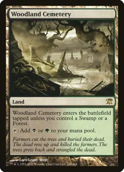 Woodland Cemetery #249 - Innistrad Rare Sinlge Magic: The Gathering - Image 1