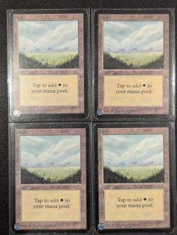 Plains (x4) - Alpha - LP - MTG - Magic the Gathering - Basic Land - Image 1