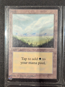 Plains (x4) - Alpha - LP - MTG - Magic the Gathering - Basic Land - Image 2