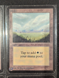 Plains (x4) - Alpha - LP - MTG - Magic the Gathering - Basic Land - Image 3