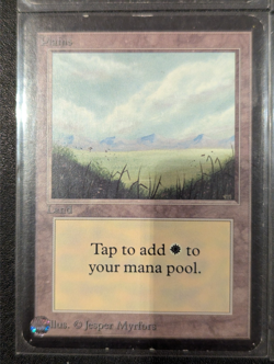 Plains (x4) - Alpha - LP - MTG - Magic the Gathering - Basic Land - Image 4