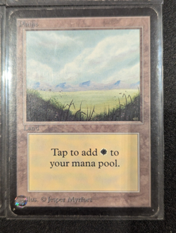 Plains (x4) - Alpha - LP - MTG - Magic the Gathering - Basic Land - Image 5