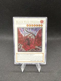Black Rose Dragon (UTR) CSOC-EN039 Crossroads of Chaos Unlimited - Image 1