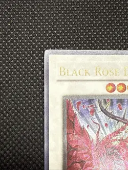 Black Rose Dragon (UTR) CSOC-EN039 Crossroads of Chaos Unlimited - Image 3