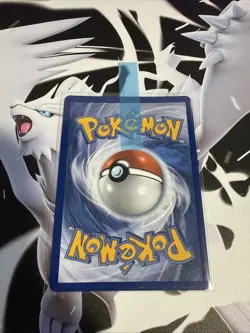 Togedemaru 104/094 Phantasmal Flames Illustration Rare IR Pokemon Card Near Mint - Image 2