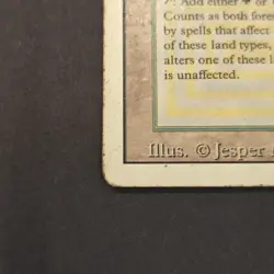 MTG Revised "Tropical Island" English Dual Land Magic The Gathering MP Condition - Image 4