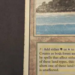 MTG Revised "Tropical Island" English Dual Land Magic The Gathering MP Condition - Image 5