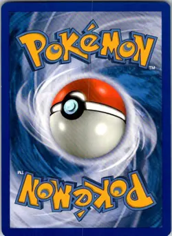 Tepig () Holo Holo Rare Black and White Promos BW02 LP - Image 2