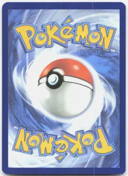 Chewtle 43/142 Common Stellar Crown Pokemon Near Mint - Image 2