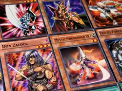 40 Card Warrior Control Goat Format Deck 🔥 - Image 1