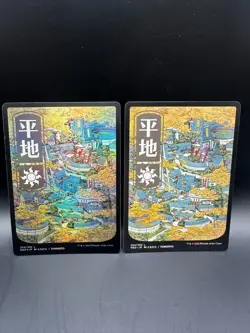 MAGIC THE GATHERING MTG KAMIGAWA PLAINS X4 293 294/302 2 FOILS - Image 1