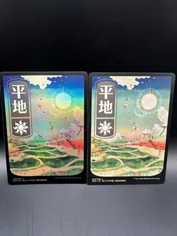 MAGIC THE GATHERING MTG KAMIGAWA PLAINS X4 293 294/302 2 FOILS - Image 2