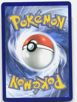 Surfer 293/217 Special Illustration Rare Ascended Heroes Pokemon Near Mint - Image 2